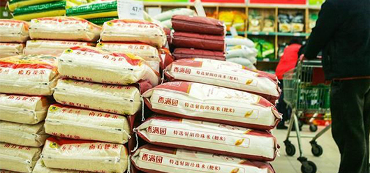 乐稻-文章封面图